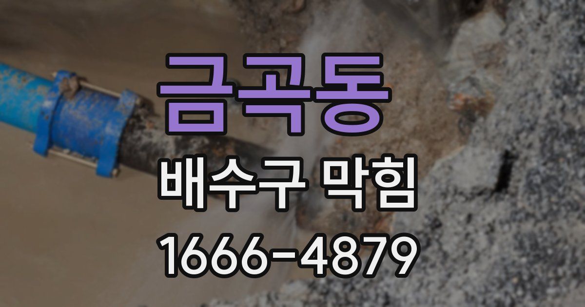 금곡동 배수구 막힘