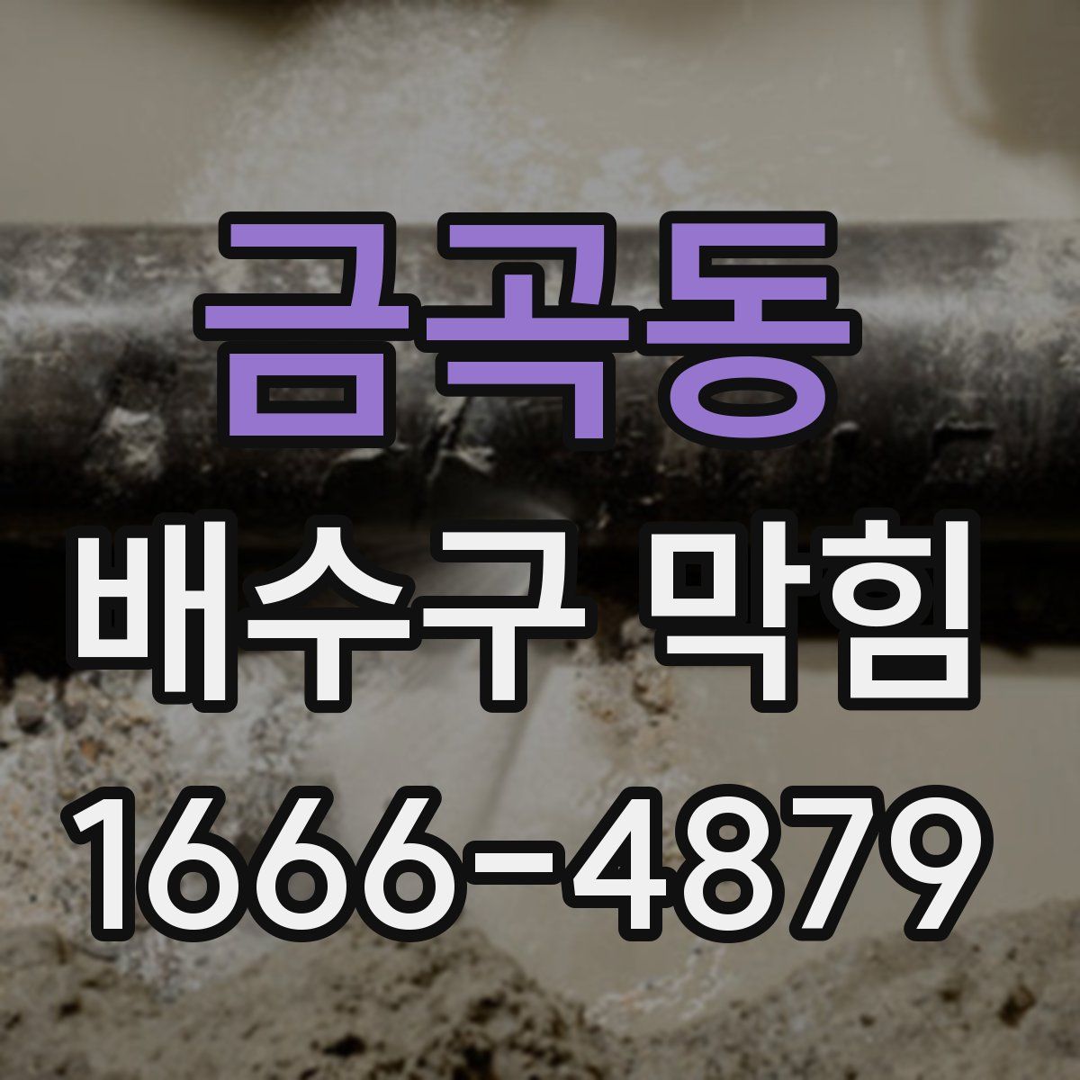 금곡동 배수구 막힘