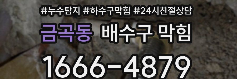 금곡동 배수구 막힘