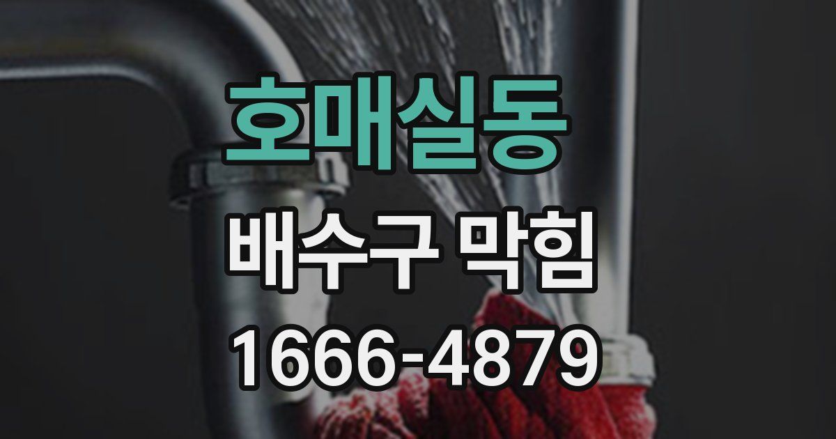 호매실동 배수구 막힘
