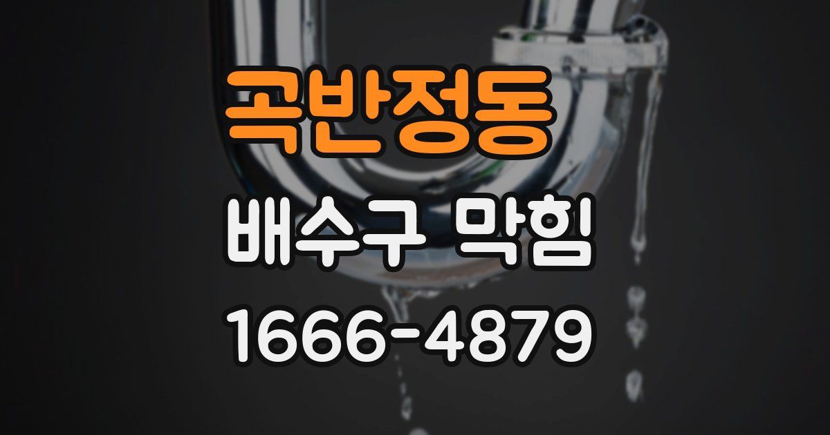 곡반정동 배수구 막힘