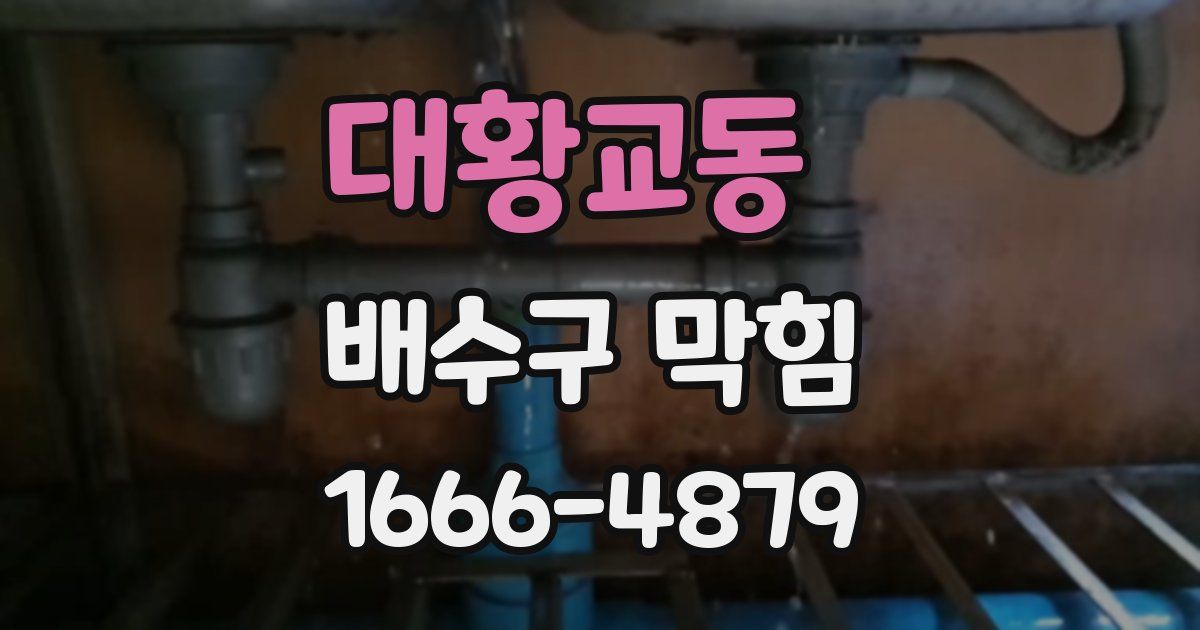 대황교동 배수구 막힘