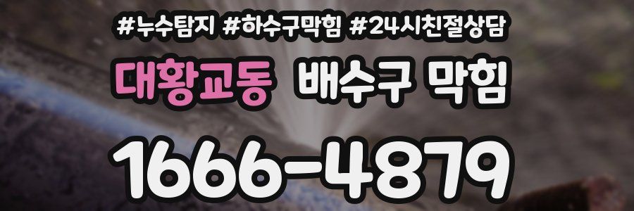 대황교동 배수구 막힘