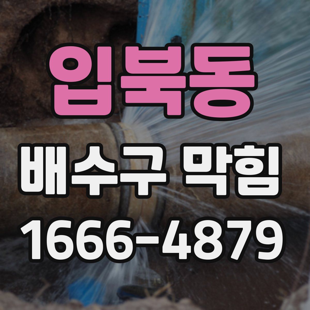 입북동 배수구 막힘