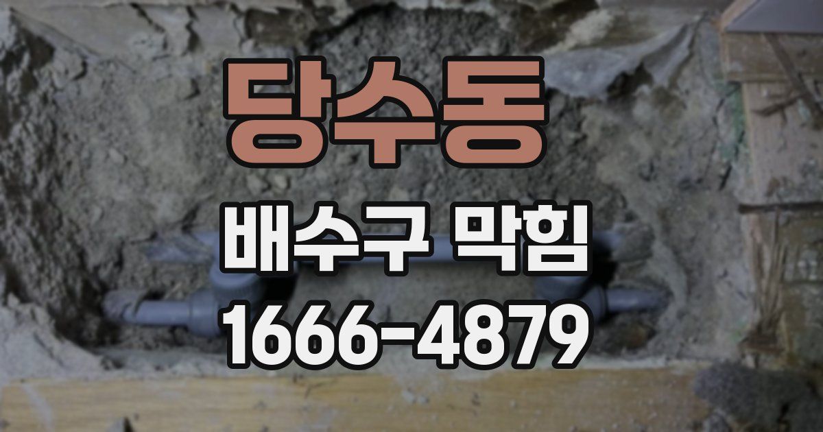 당수동 배수구 막힘