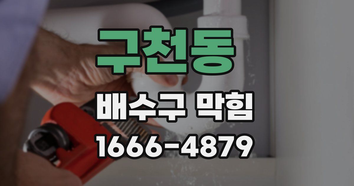 구천동 배수구 막힘