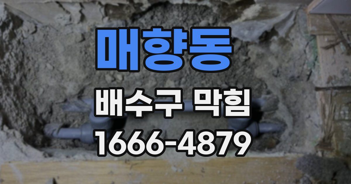매향동 배수구 막힘