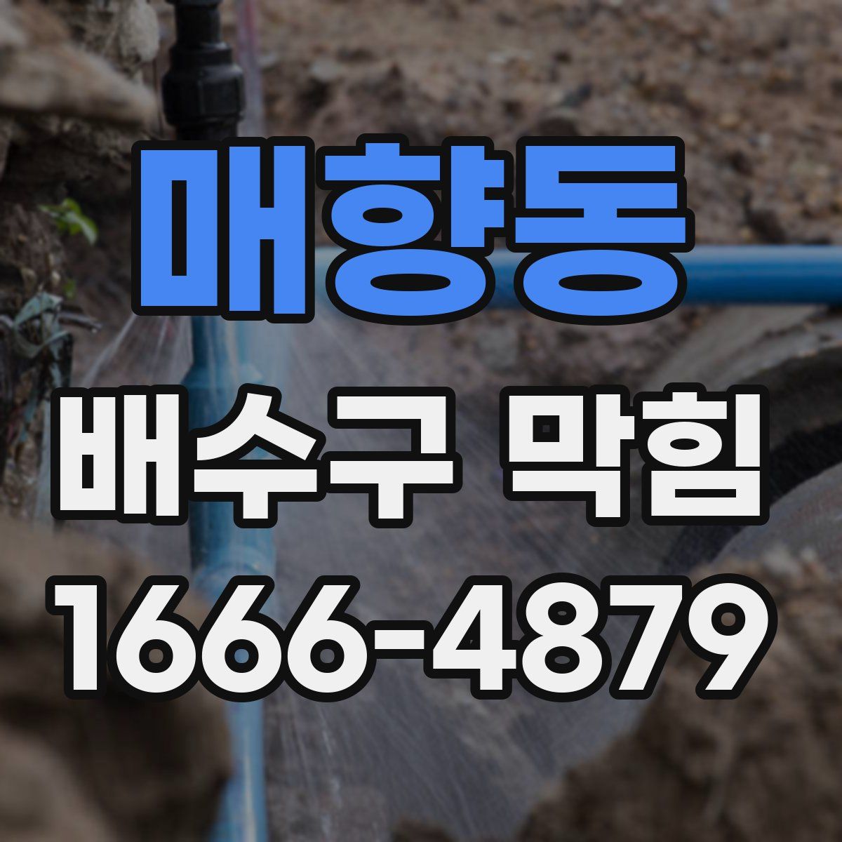 매향동 배수구 막힘
