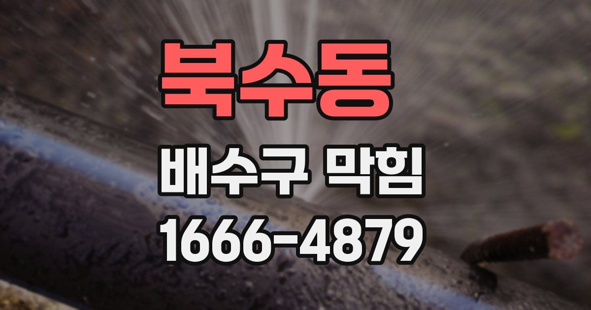 북수동 배수구 막힘