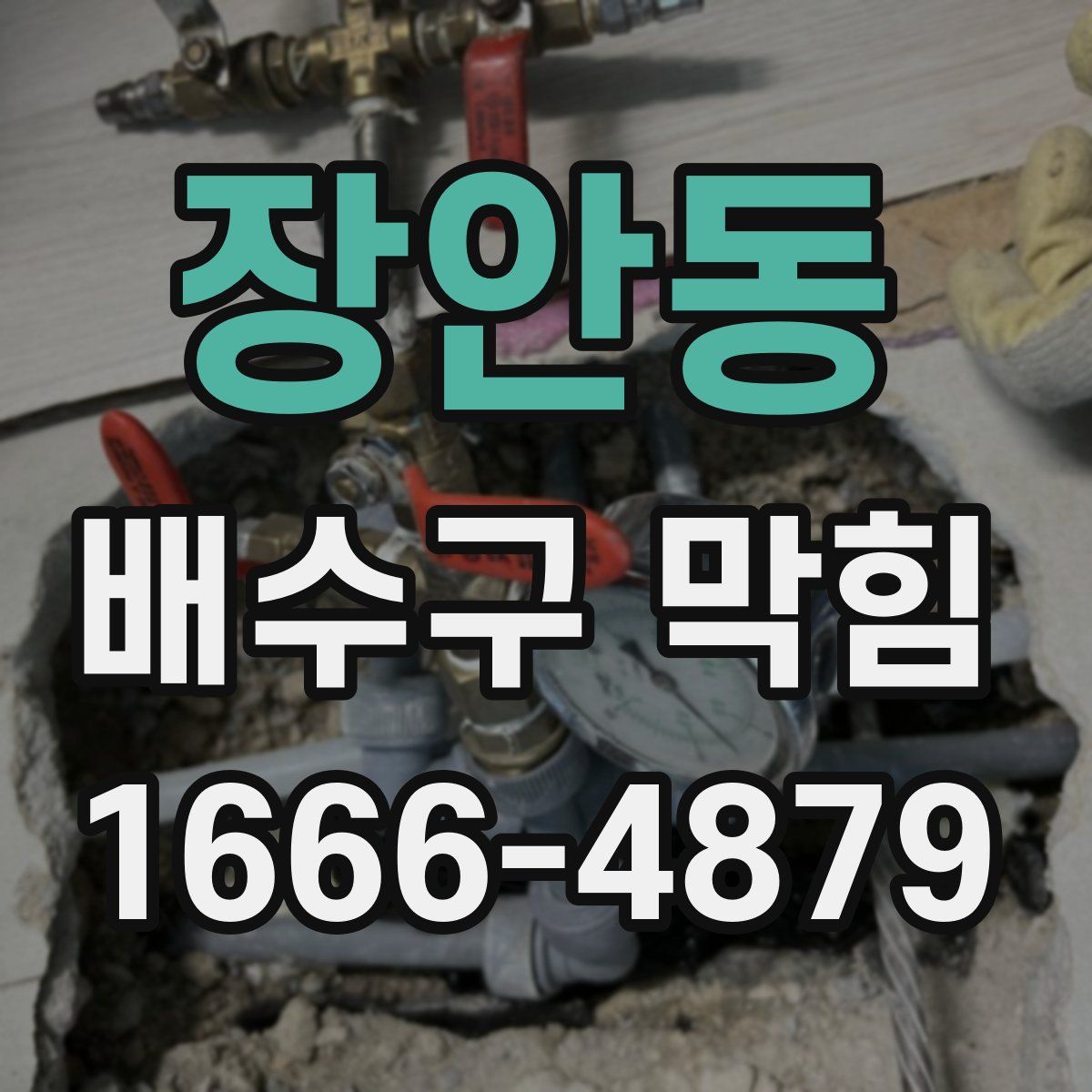 장안동 배수구 막힘