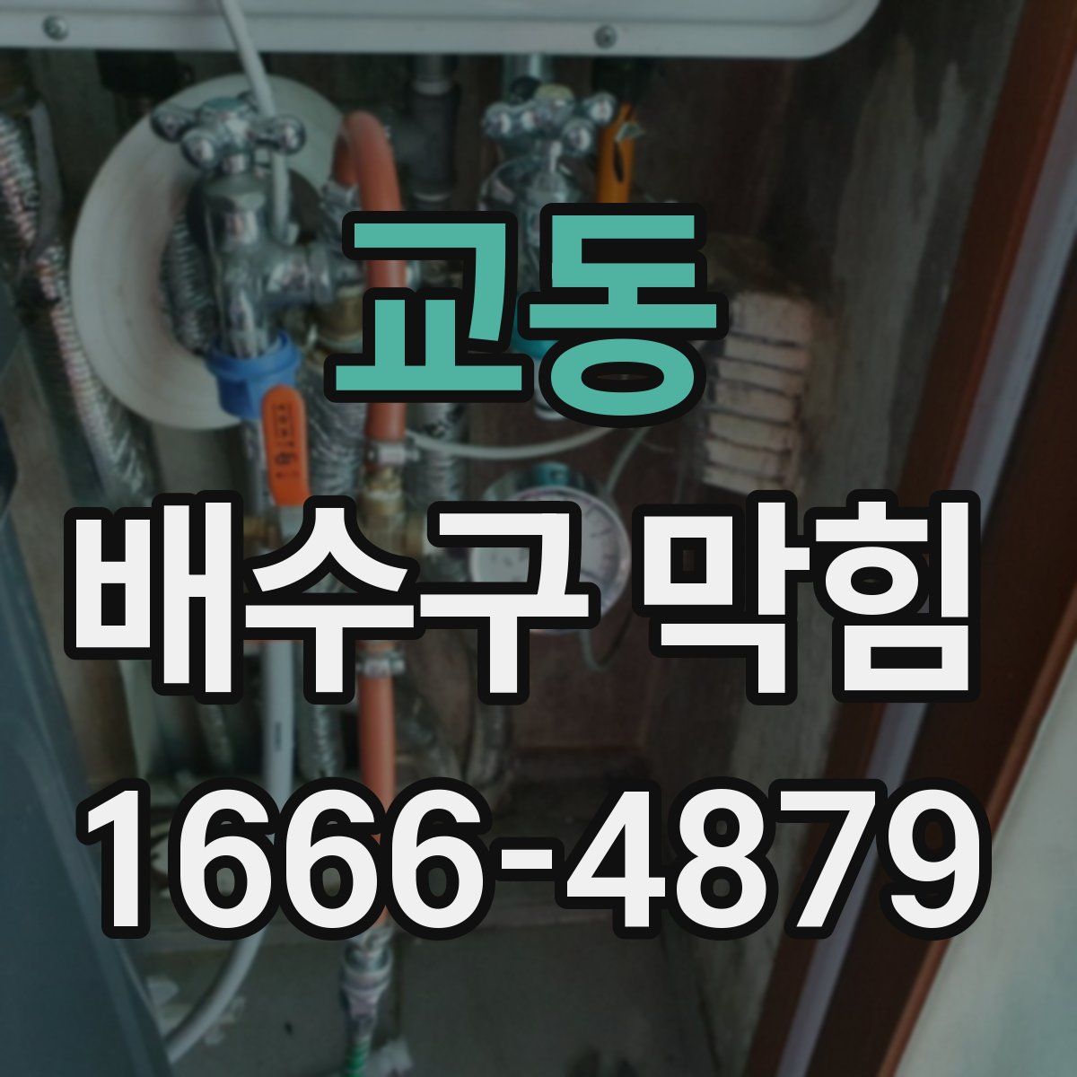 교동 배수구 막힘