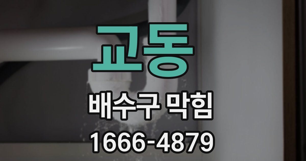 교동 배수구 막힘