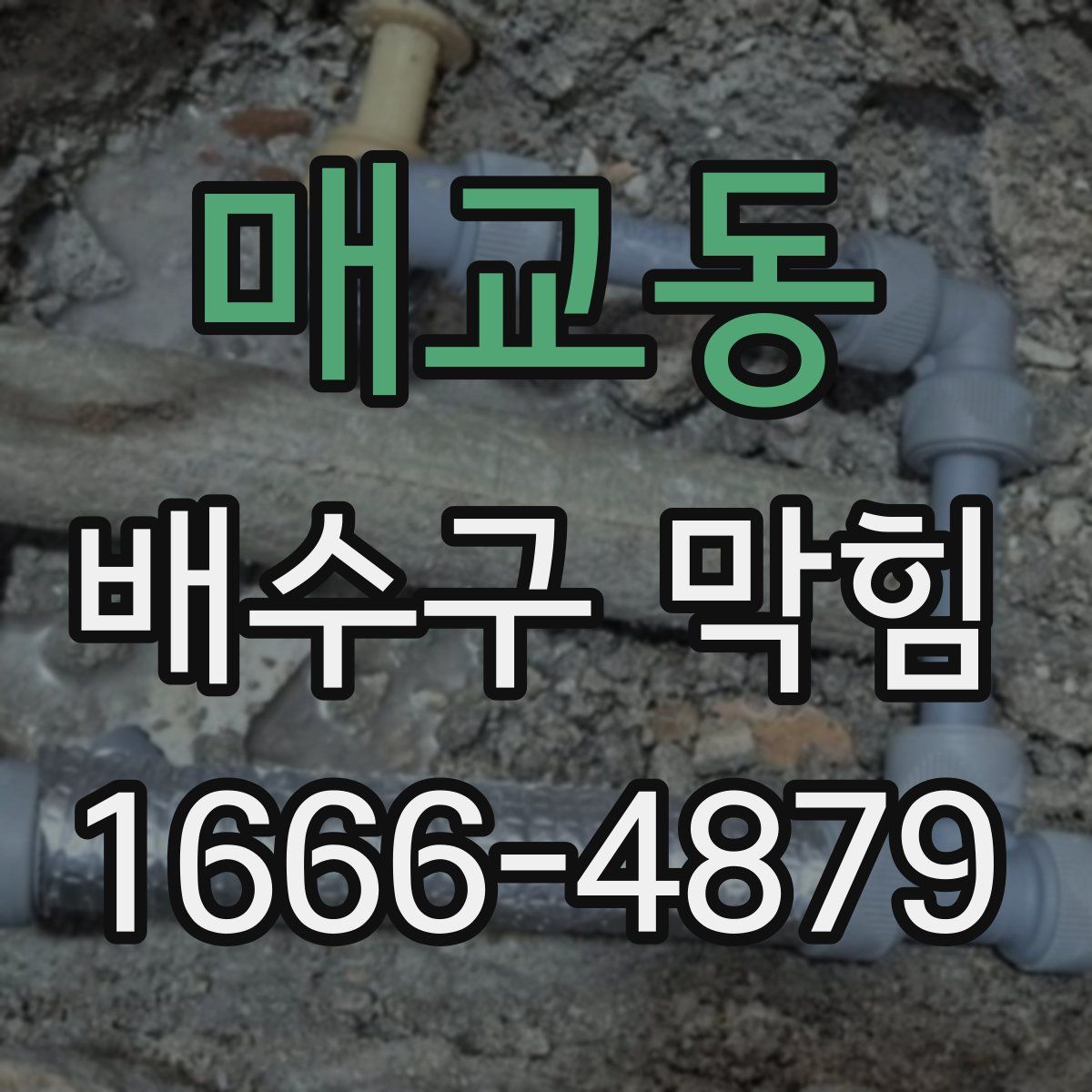 매교동 배수구 막힘