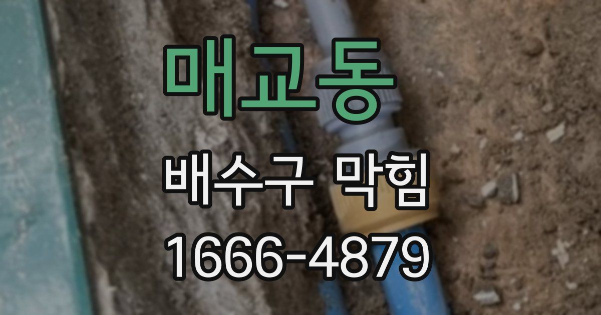 매교동 배수구 막힘