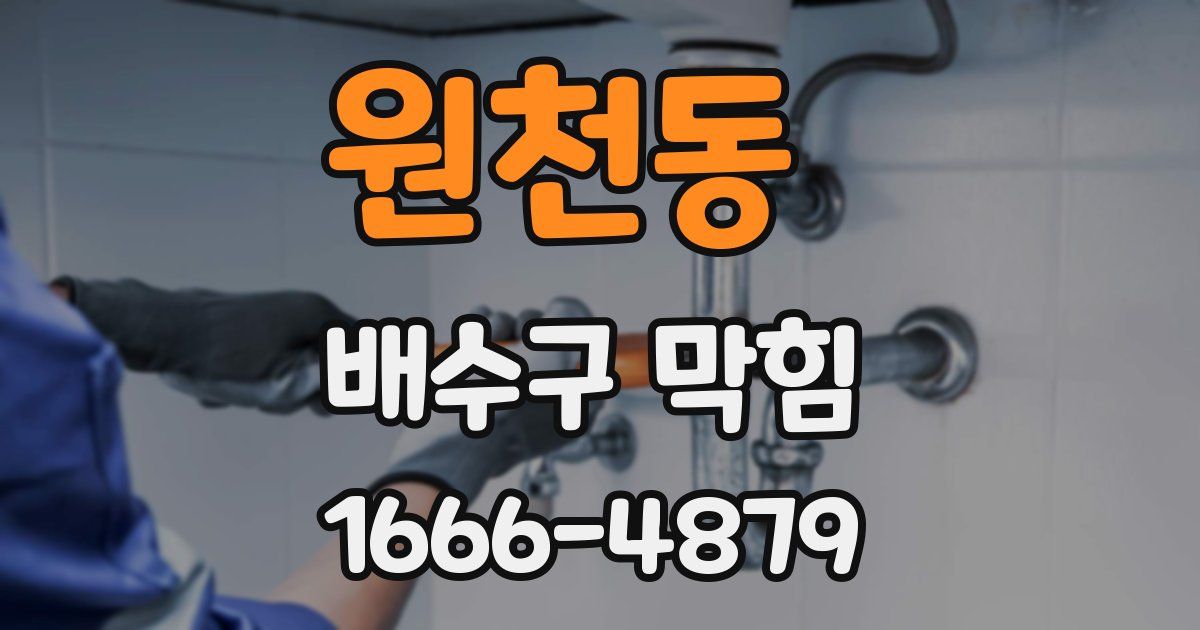 원천동 배수구 막힘