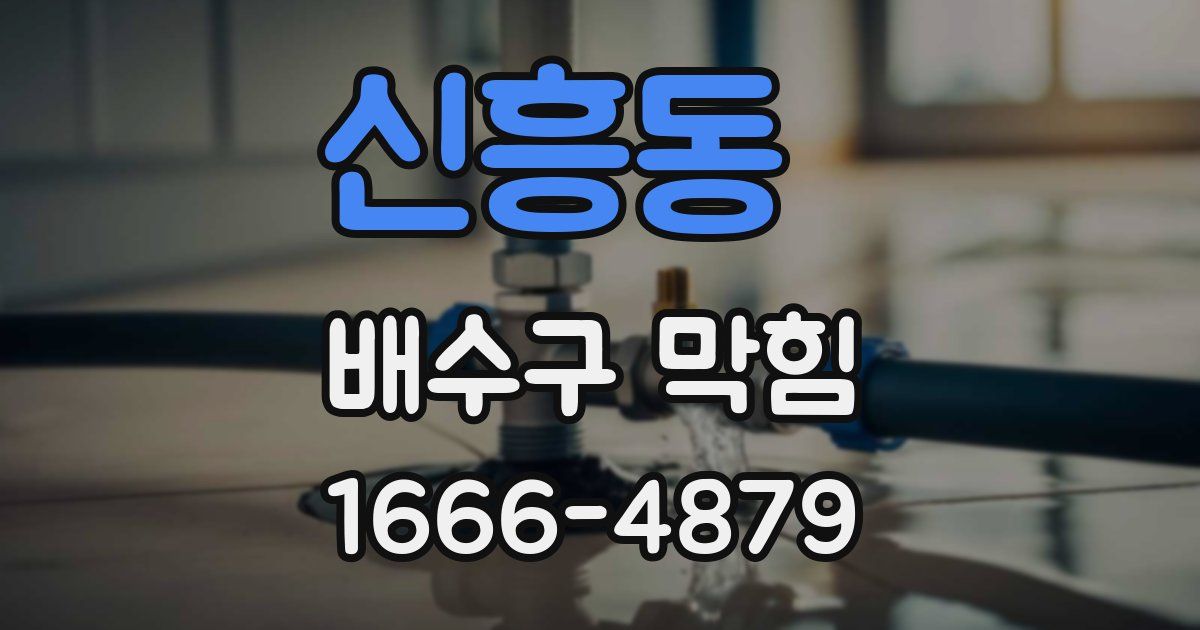 신흥동 배수구 막힘