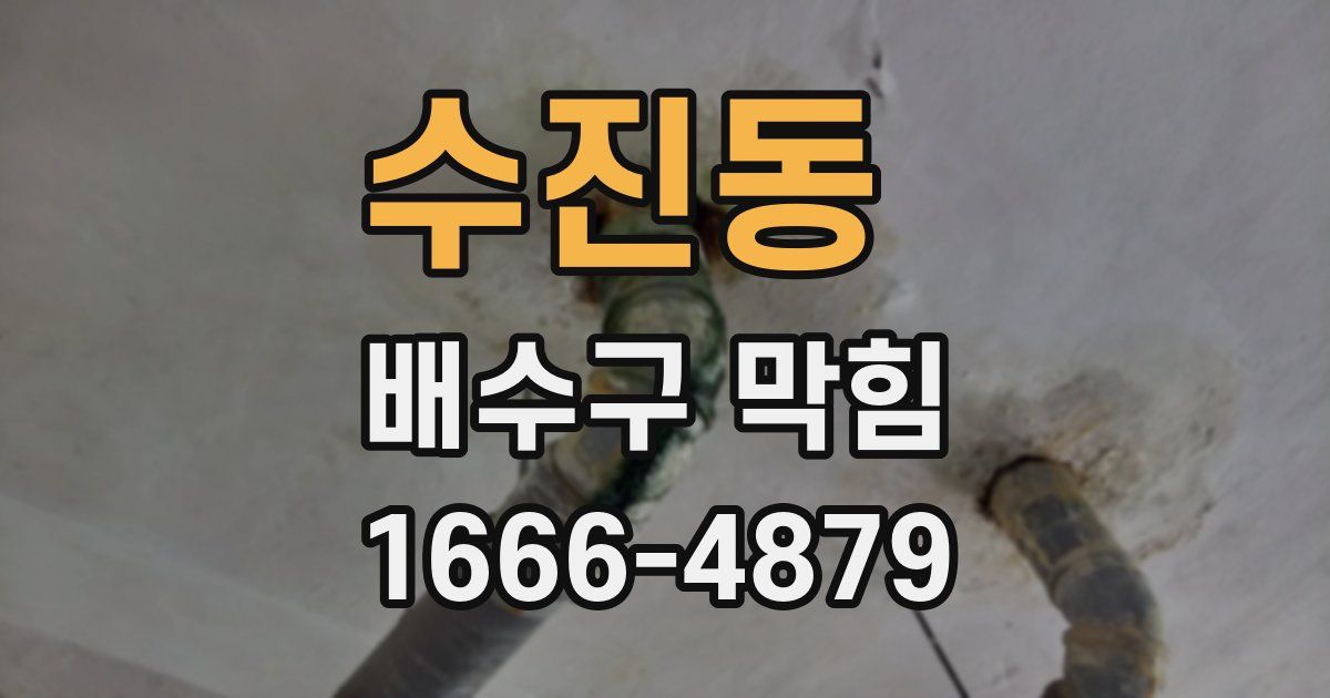 수진동 배수구 막힘