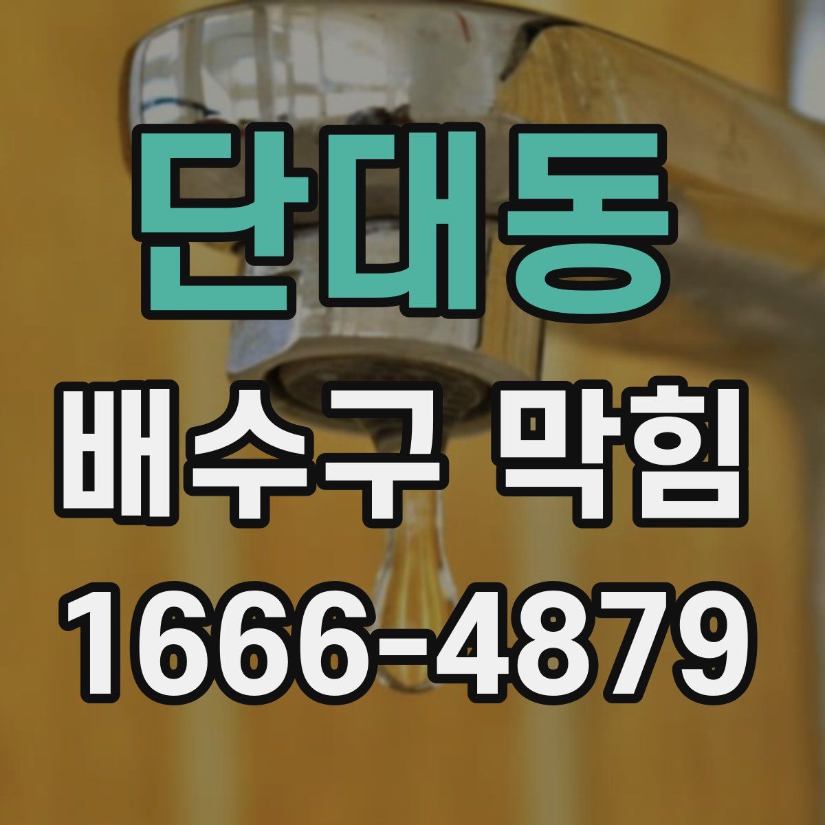 단대동 배수구 막힘