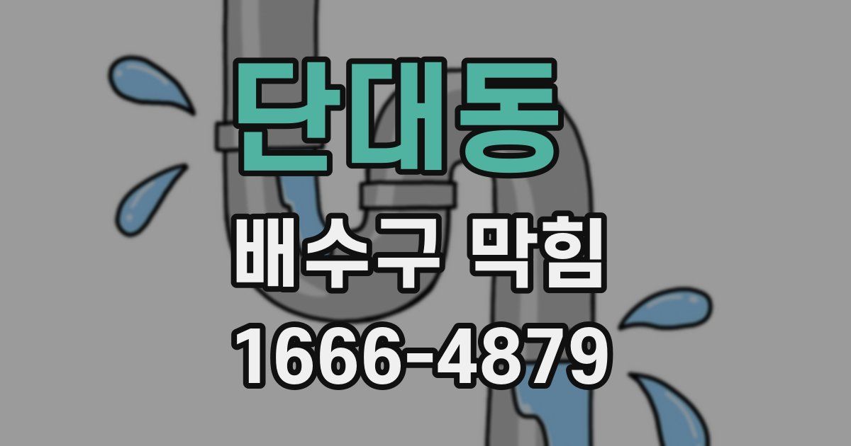 단대동 배수구 막힘