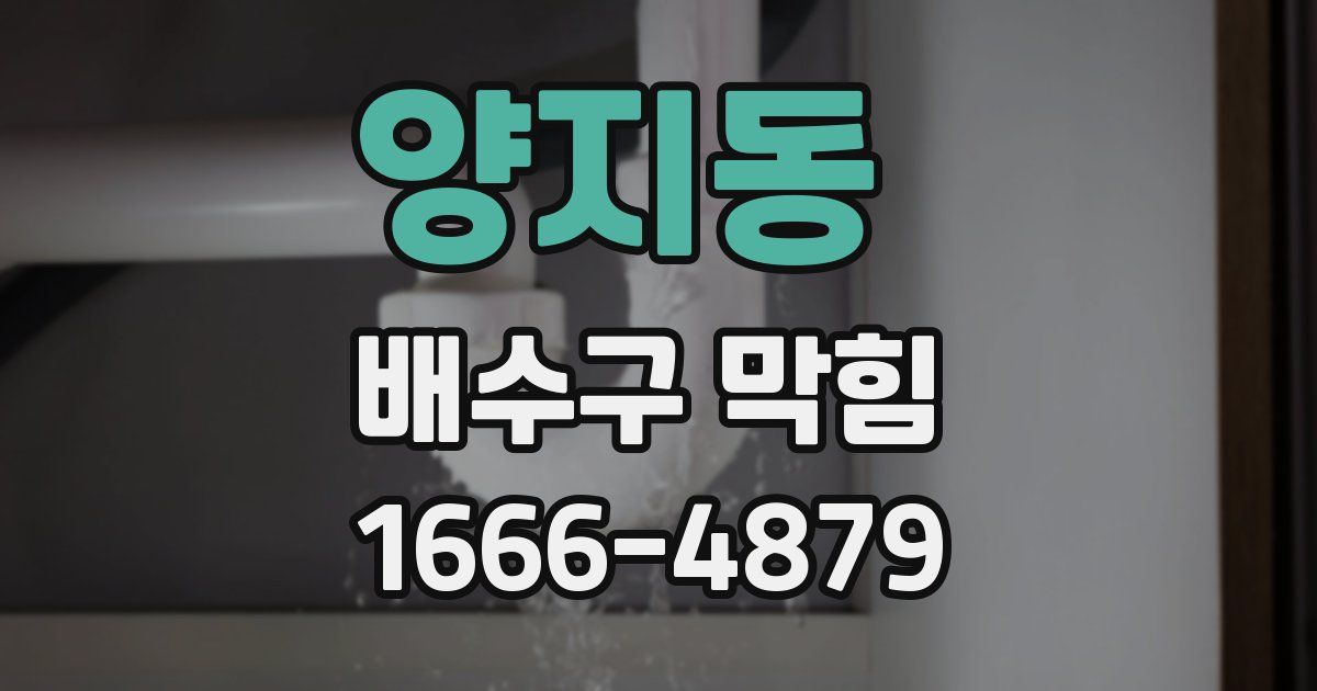 양지동 배수구 막힘