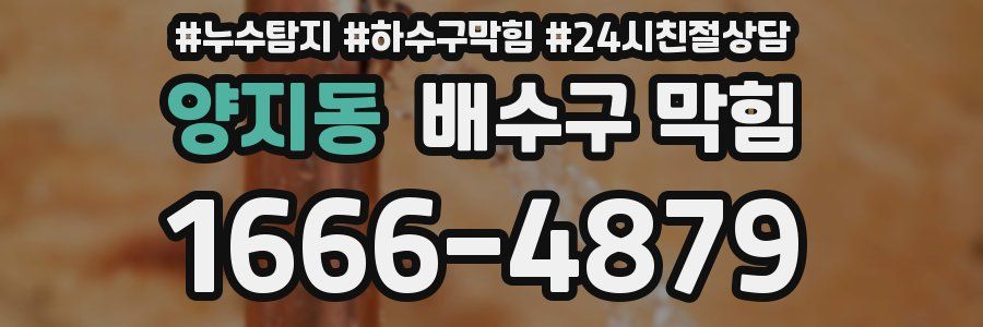 양지동 배수구 막힘