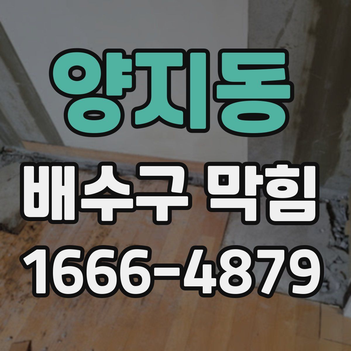 양지동 배수구 막힘