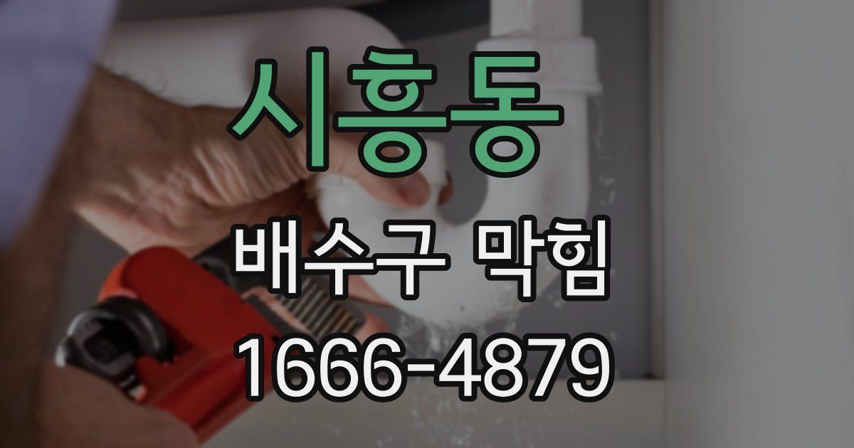 시흥동 배수구 막힘