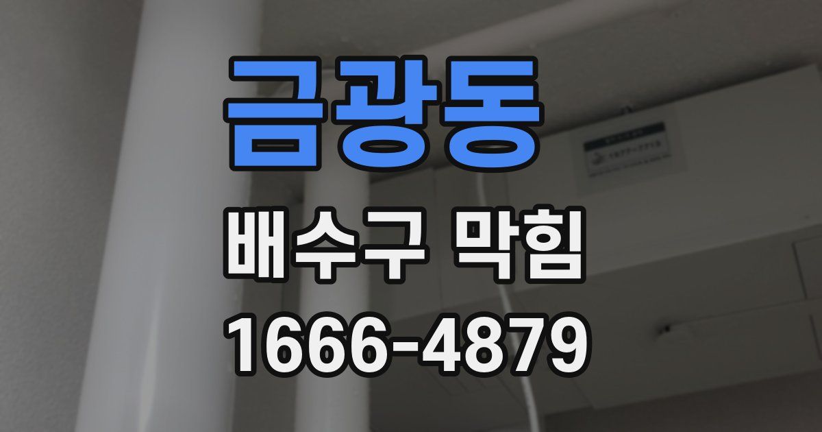 금광동 배수구 막힘