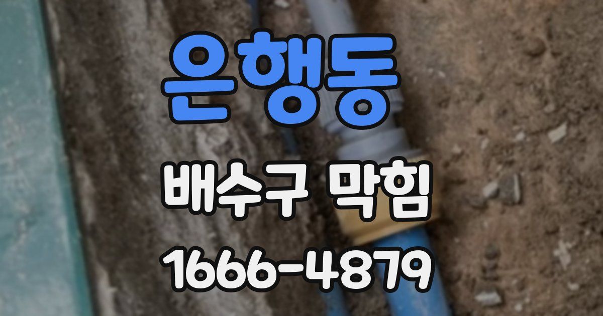 은행동 배수구 막힘