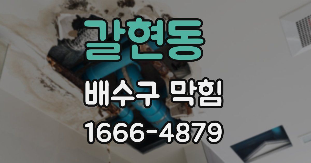 갈현동 배수구 막힘