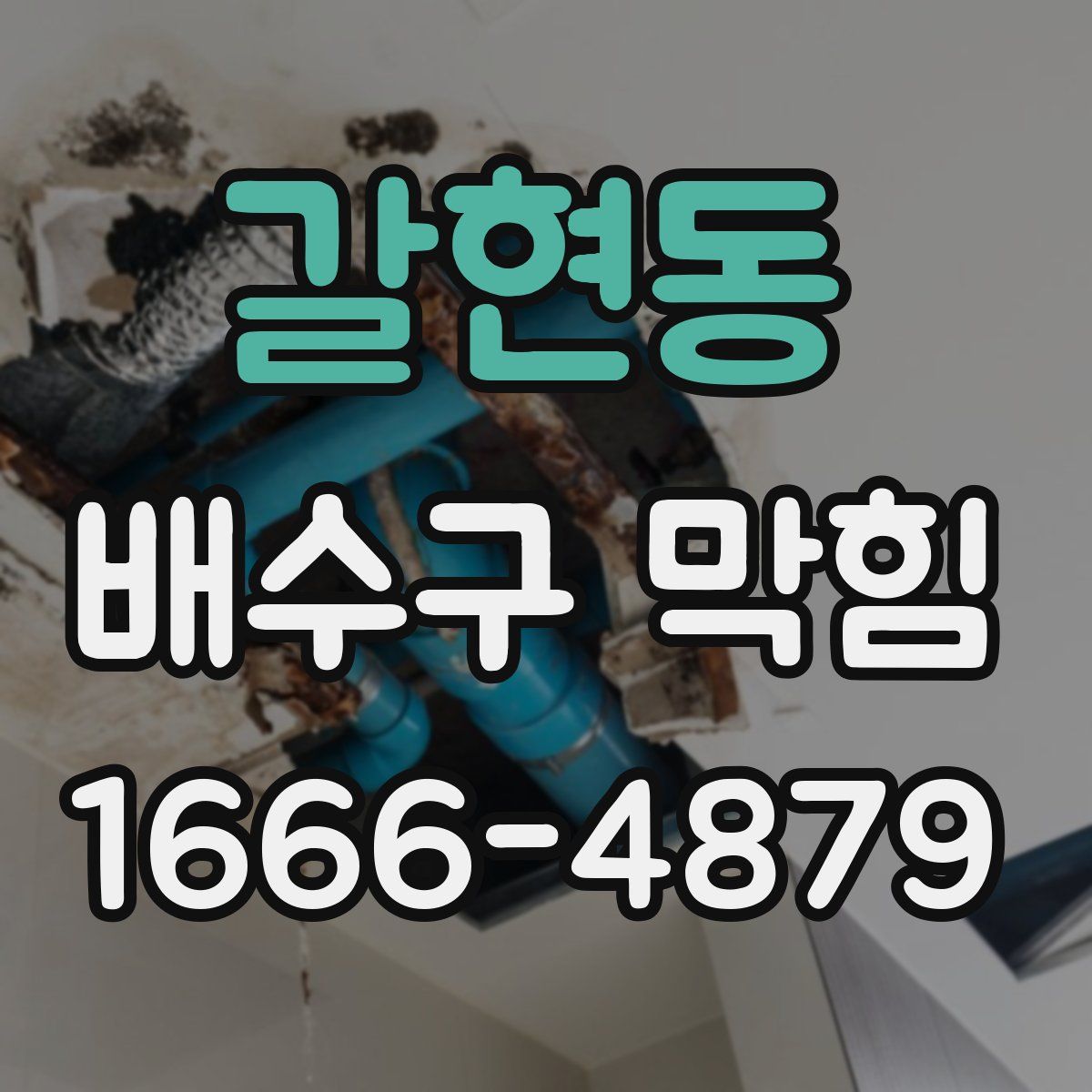 갈현동 배수구 막힘