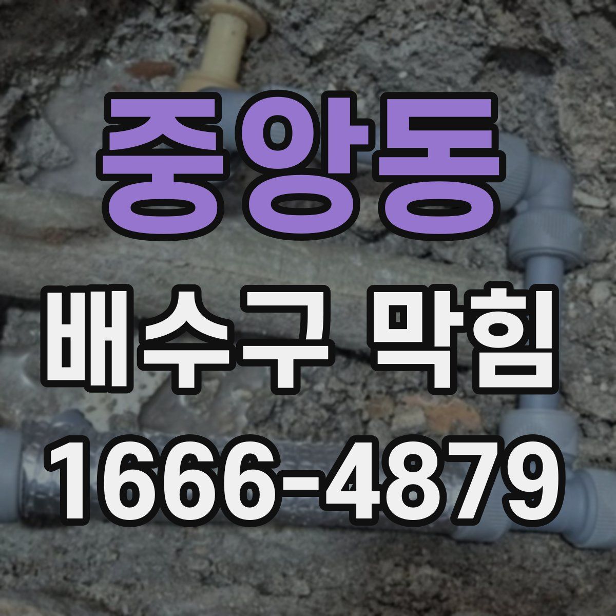 중앙동 배수구 막힘