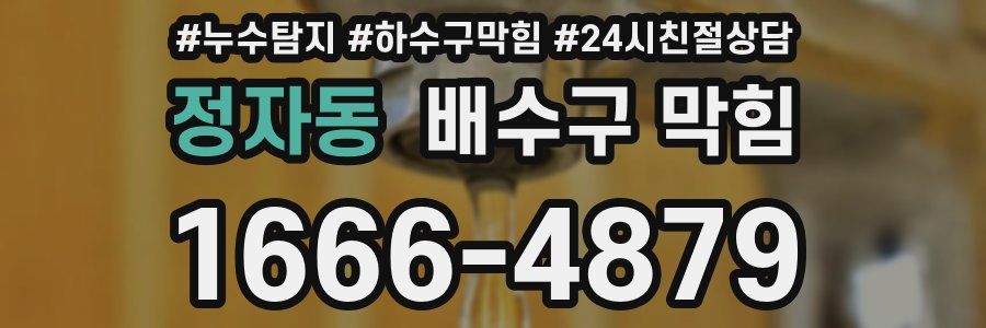 정자동 배수구 막힘