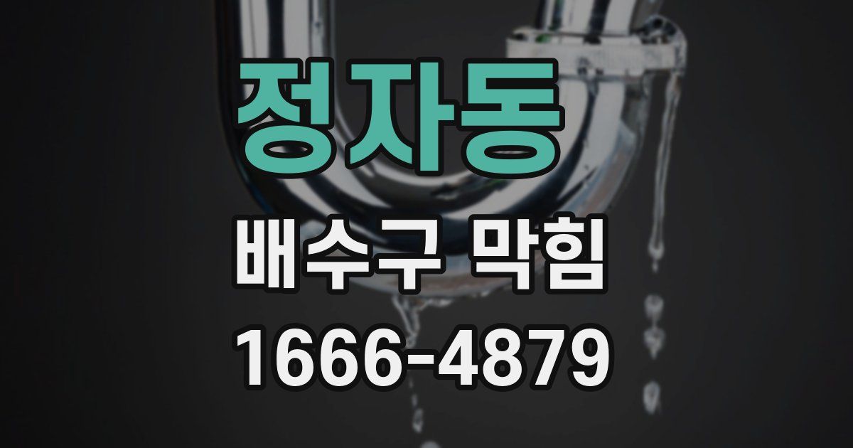 정자동 배수구 막힘