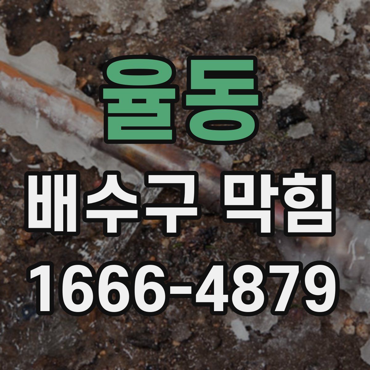 율동 배수구 막힘