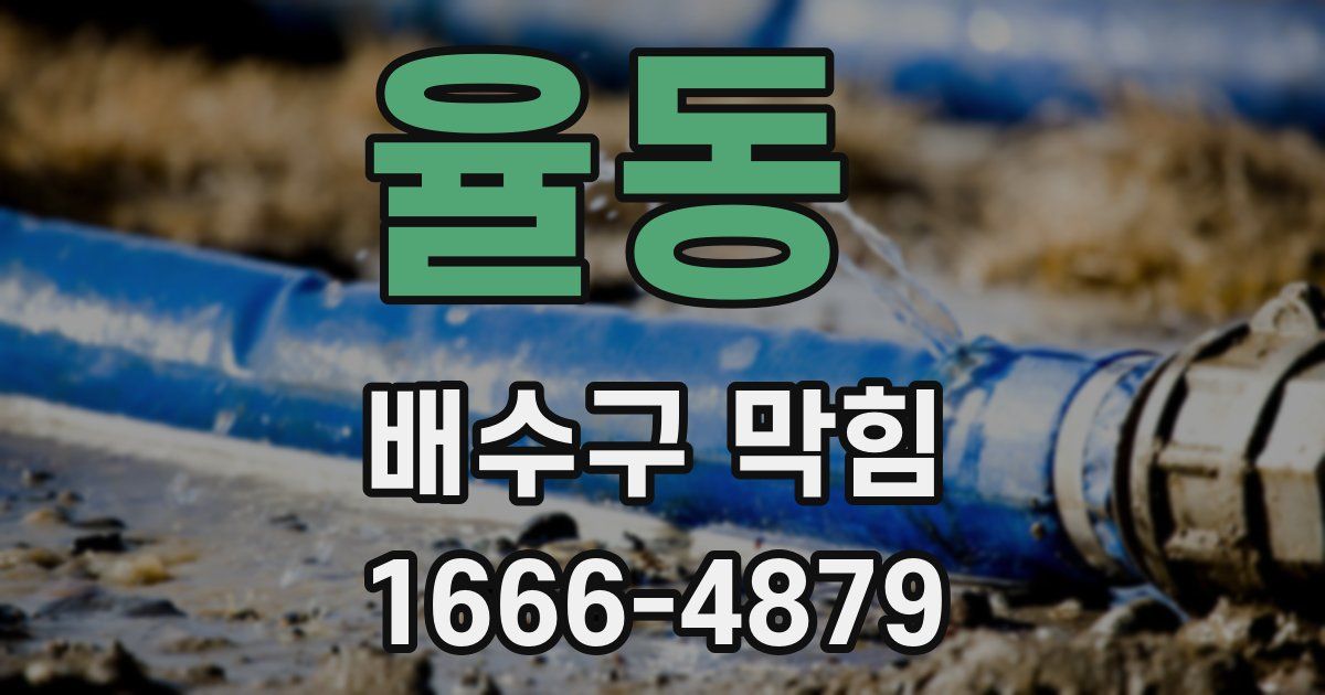 율동 배수구 막힘