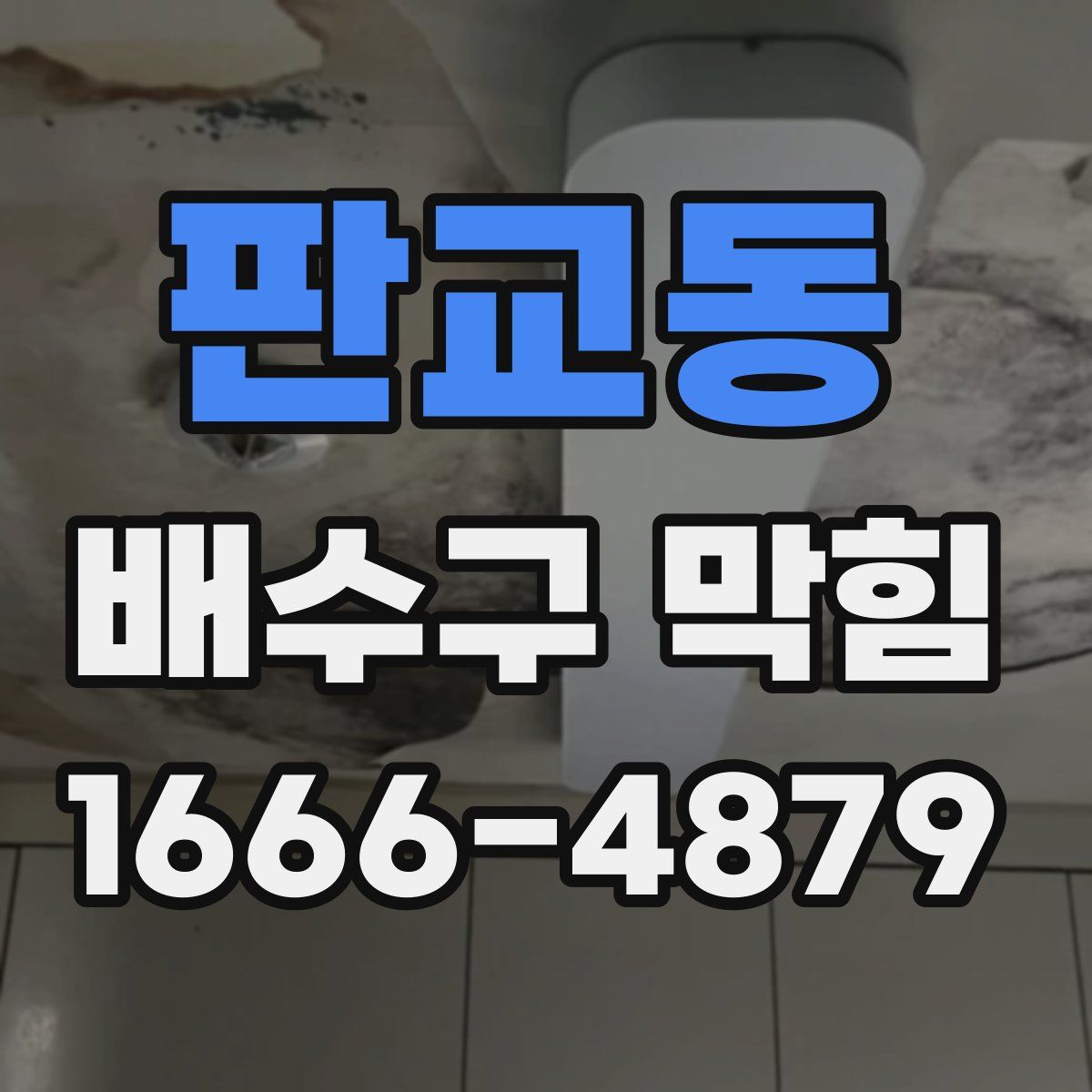 판교동 배수구 막힘