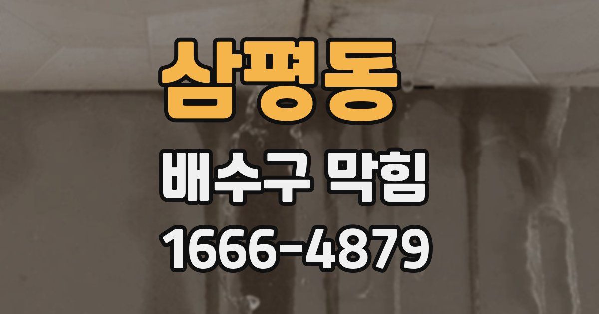 삼평동 배수구 막힘