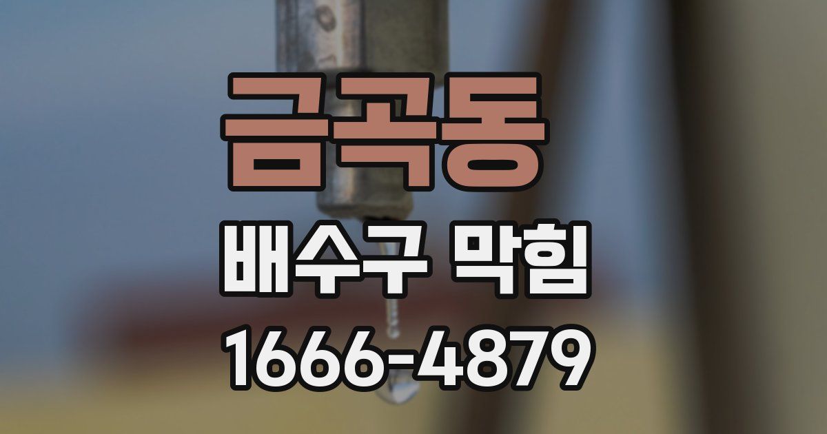 금곡동 배수구 막힘