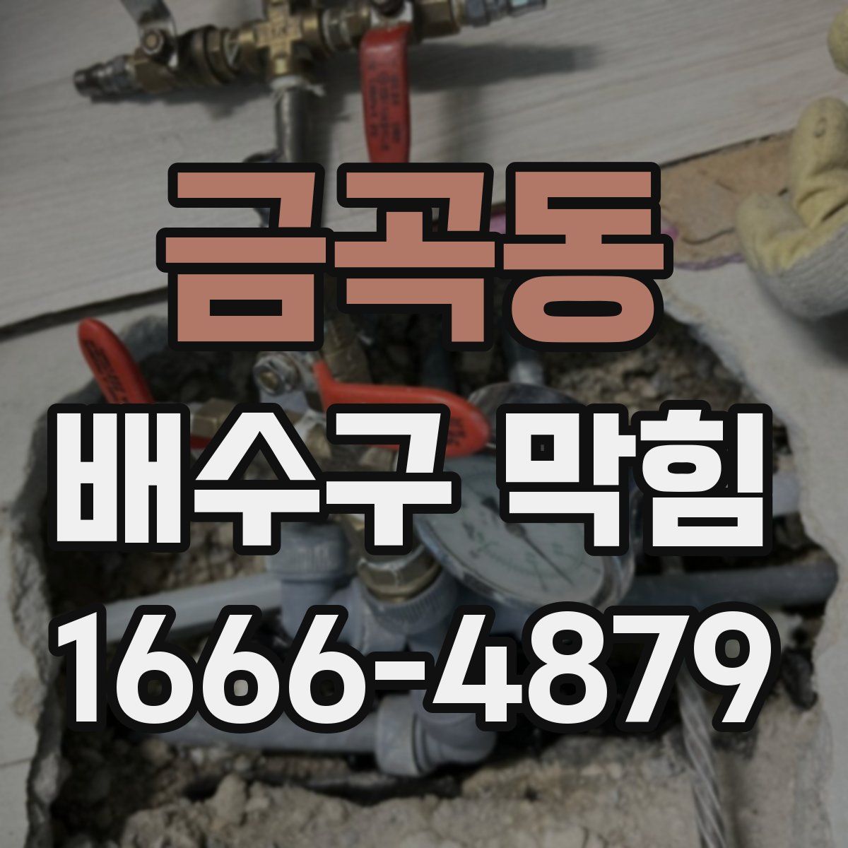 금곡동 배수구 막힘
