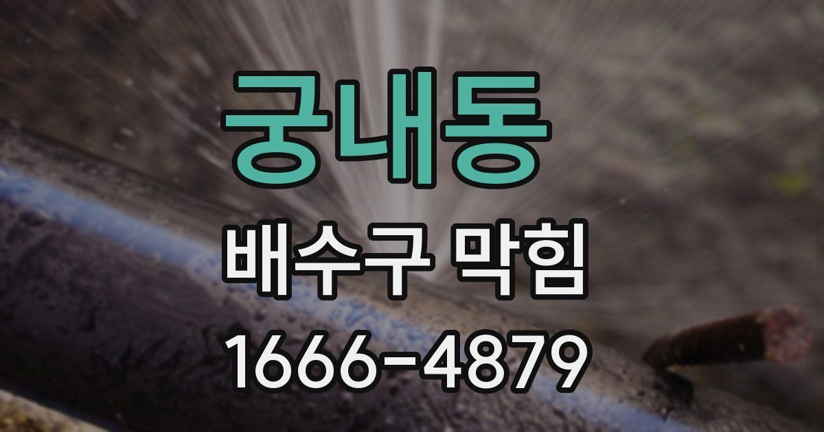 궁내동 배수구 막힘