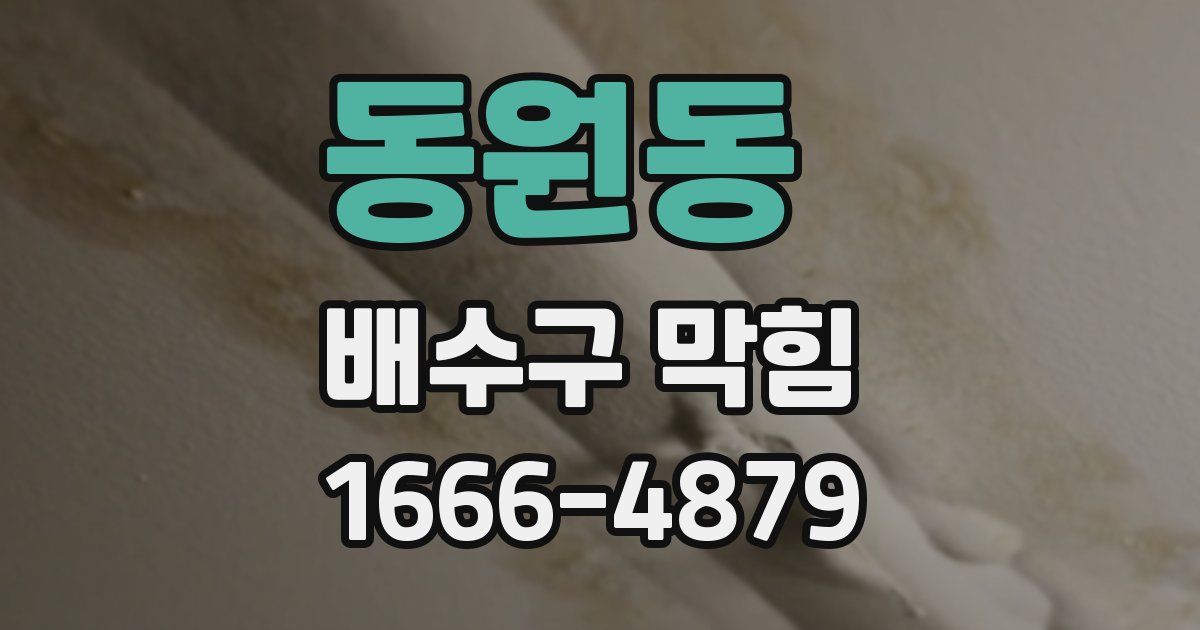동원동 배수구 막힘