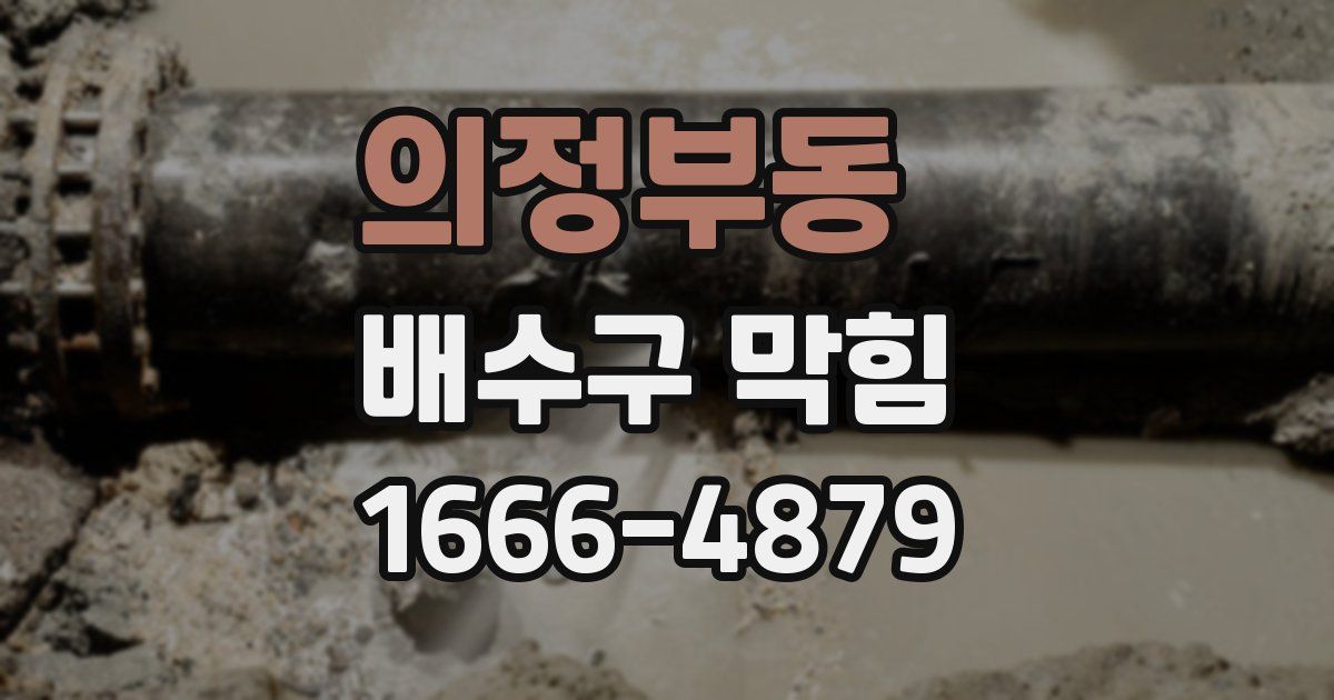 의정부동 배수구 막힘