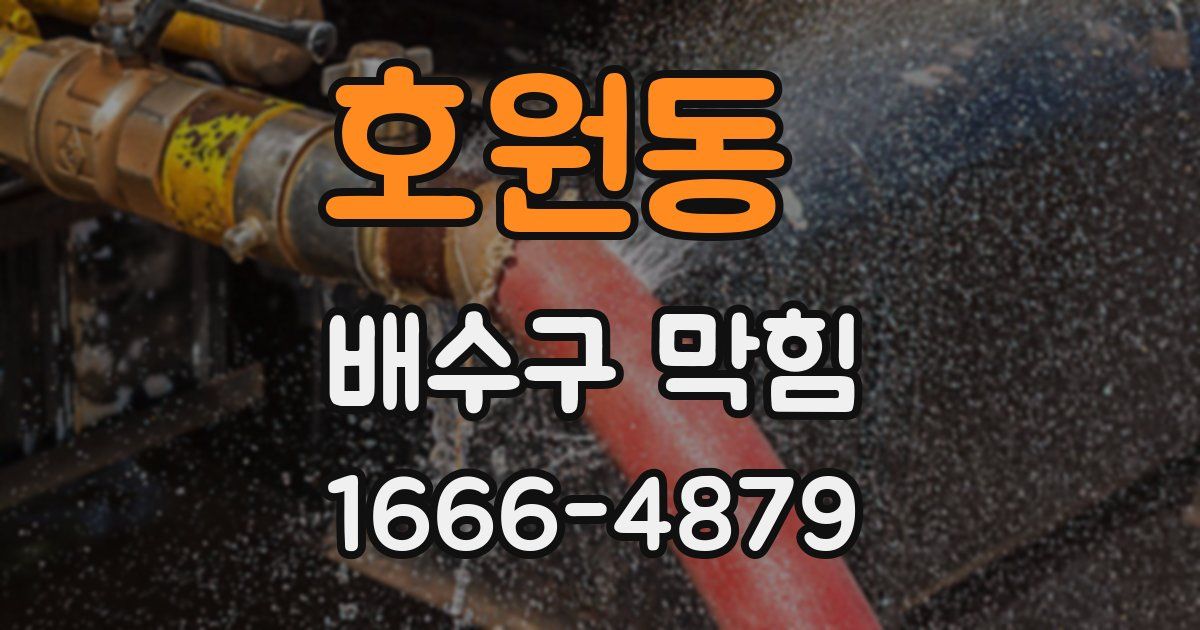 호원동 배수구 막힘