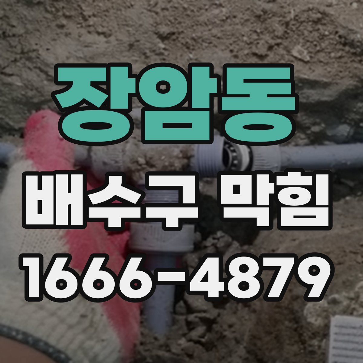 장암동 배수구 막힘