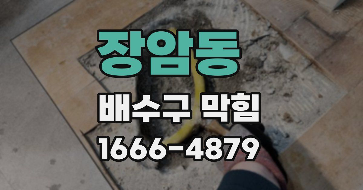 장암동 배수구 막힘