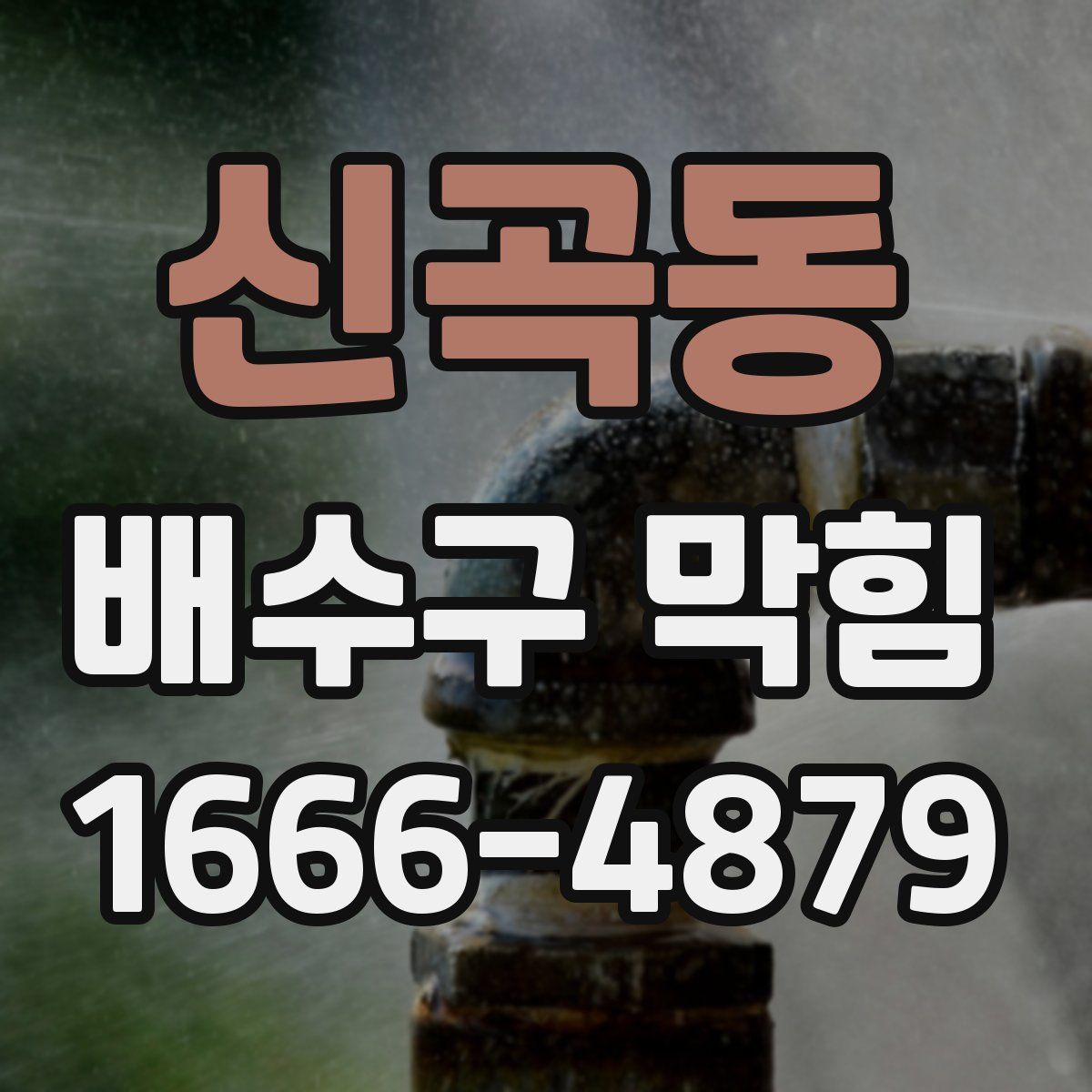 신곡동 배수구 막힘