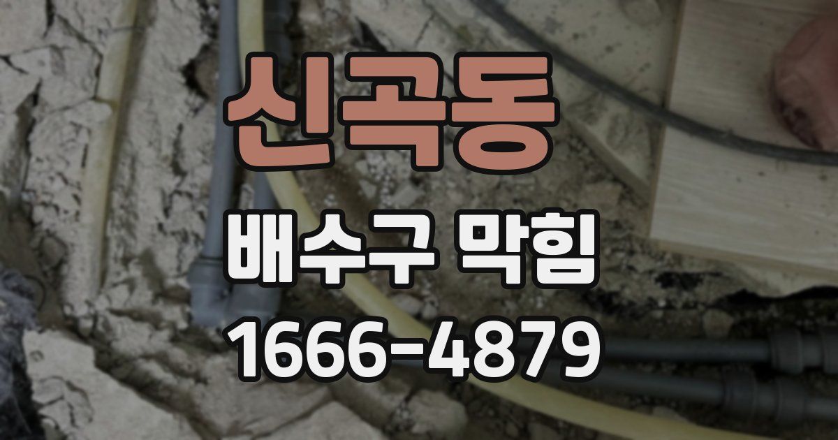 신곡동 배수구 막힘