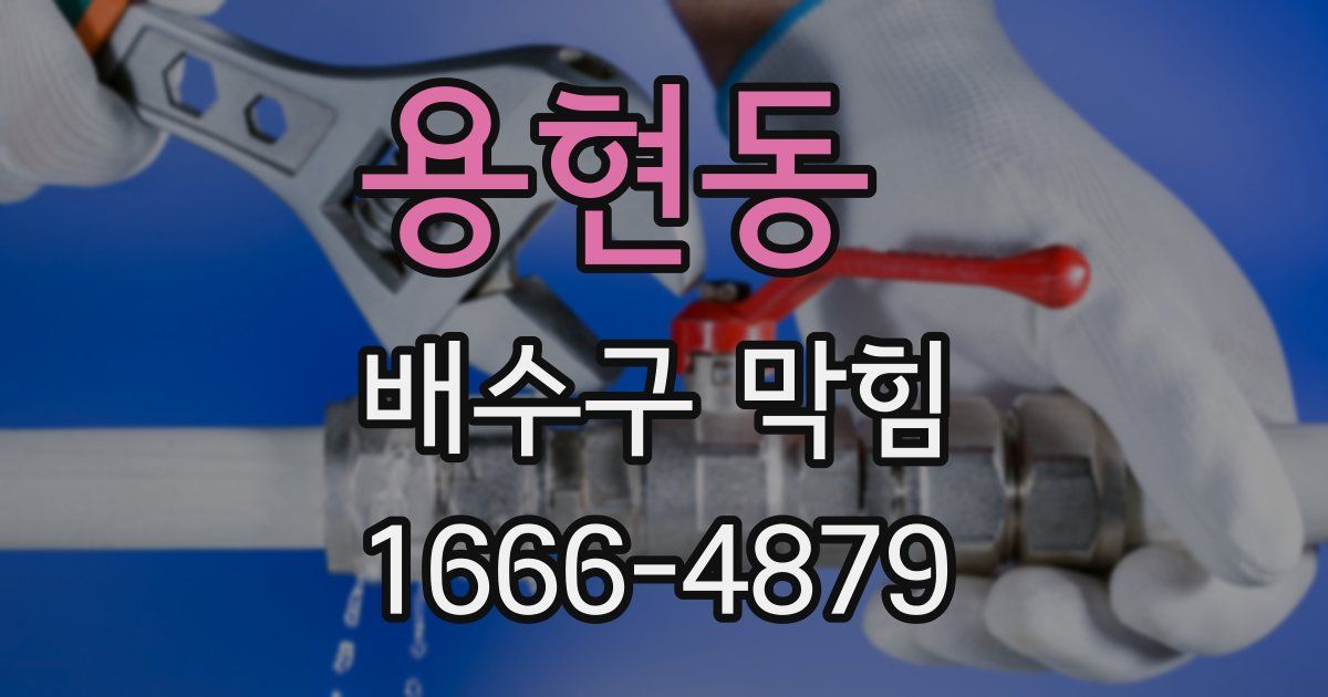 용현동 배수구 막힘