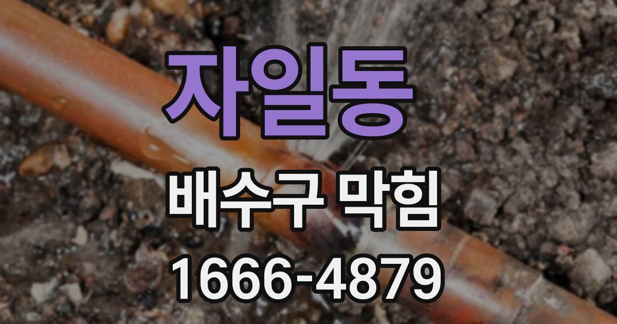 자일동 배수구 막힘